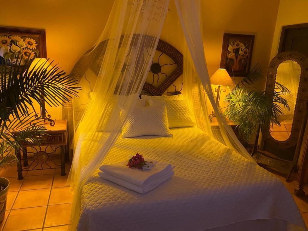 The Mexican Inn กาโบซานลูกัส ภายนอก รูปภาพ
