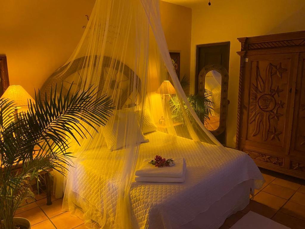 The Mexican Inn กาโบซานลูกัส ภายนอก รูปภาพ